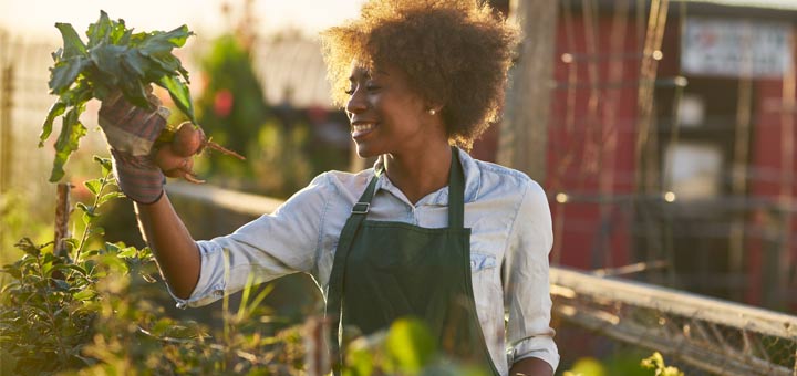 The Cleansing Power Of Beets