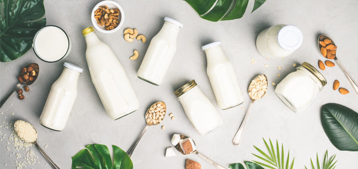 Dairy Alternatives To Substitute Common Dairy Products
