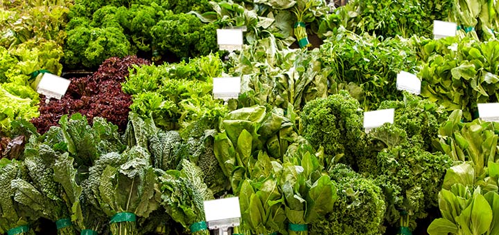 The Best Lettuces To Add To Your Salad Bowl
