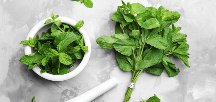 mint-on-marble-background