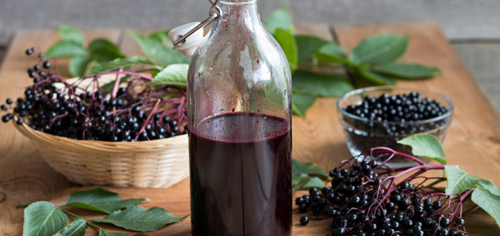 Instant Pot Elderberry Syrup To Boost Immunity