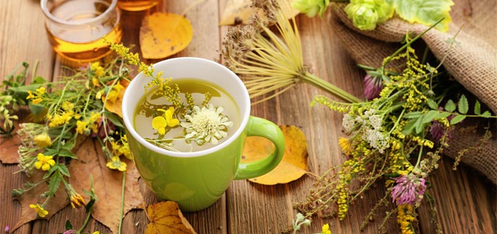 The Top 7 Herbs And Spices For Brain Health