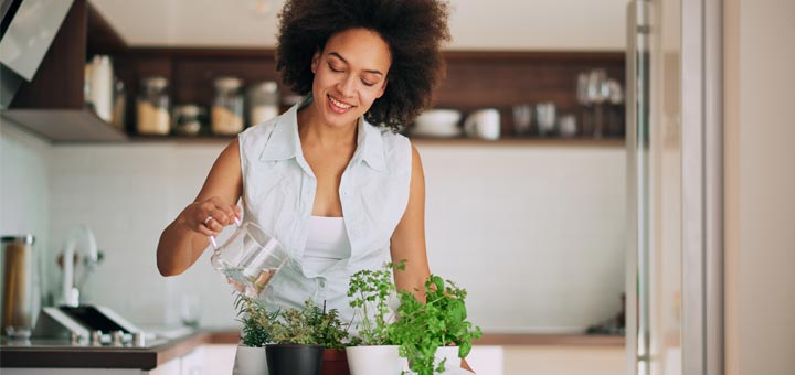 5 Herbs Every Woman Should Know About