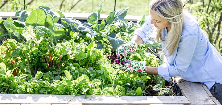 Get Your Hands Dirty And Start Gardening To Improve Your Mental Health