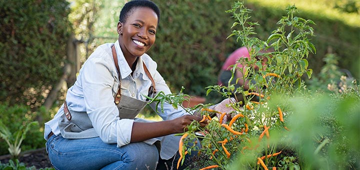Black-Owned Farms & Food Gardens You Can Support Right Now