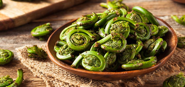 Fiddleheads: The Incredible Superfood You’ve Never Heard Of