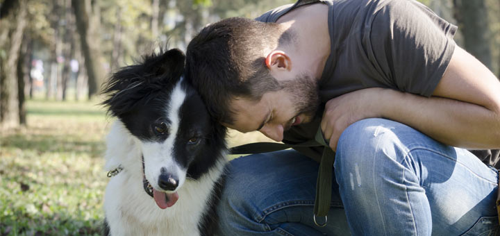 The Power Of Pets: 4 Ways They Improve Mental Health