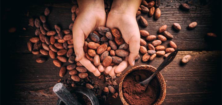 5 Health Benefits Of Raw Cacao Powder