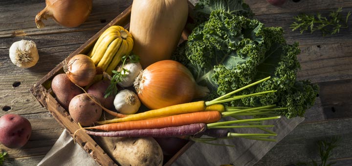 7 Fall And Winter Superfoods You Need Right Now