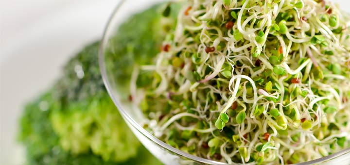 Simple Broccoli Sprouts Salad