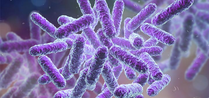 The Microbiome Diet: A Plan For A Healthier Gut