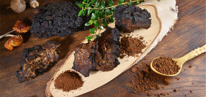 Fungi Facts: The Superfood Benefits Of Mushroom Powder