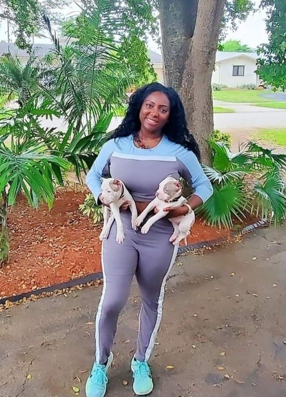 Schedule Sunny Isles Dog Walker & Pet Boarding