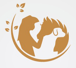 On the Go Animal Massage