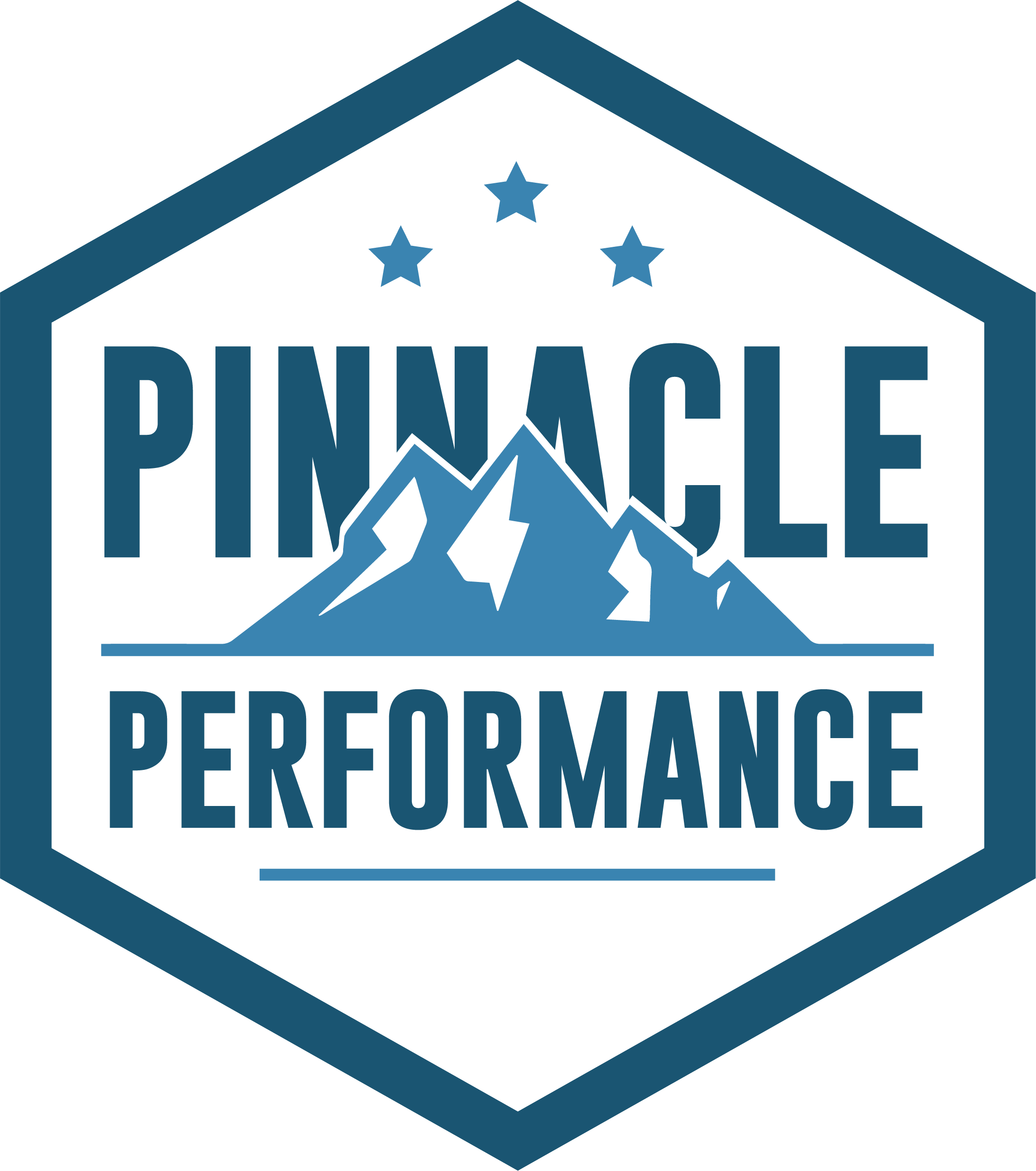 Schedule Pinnacle Performance LLC