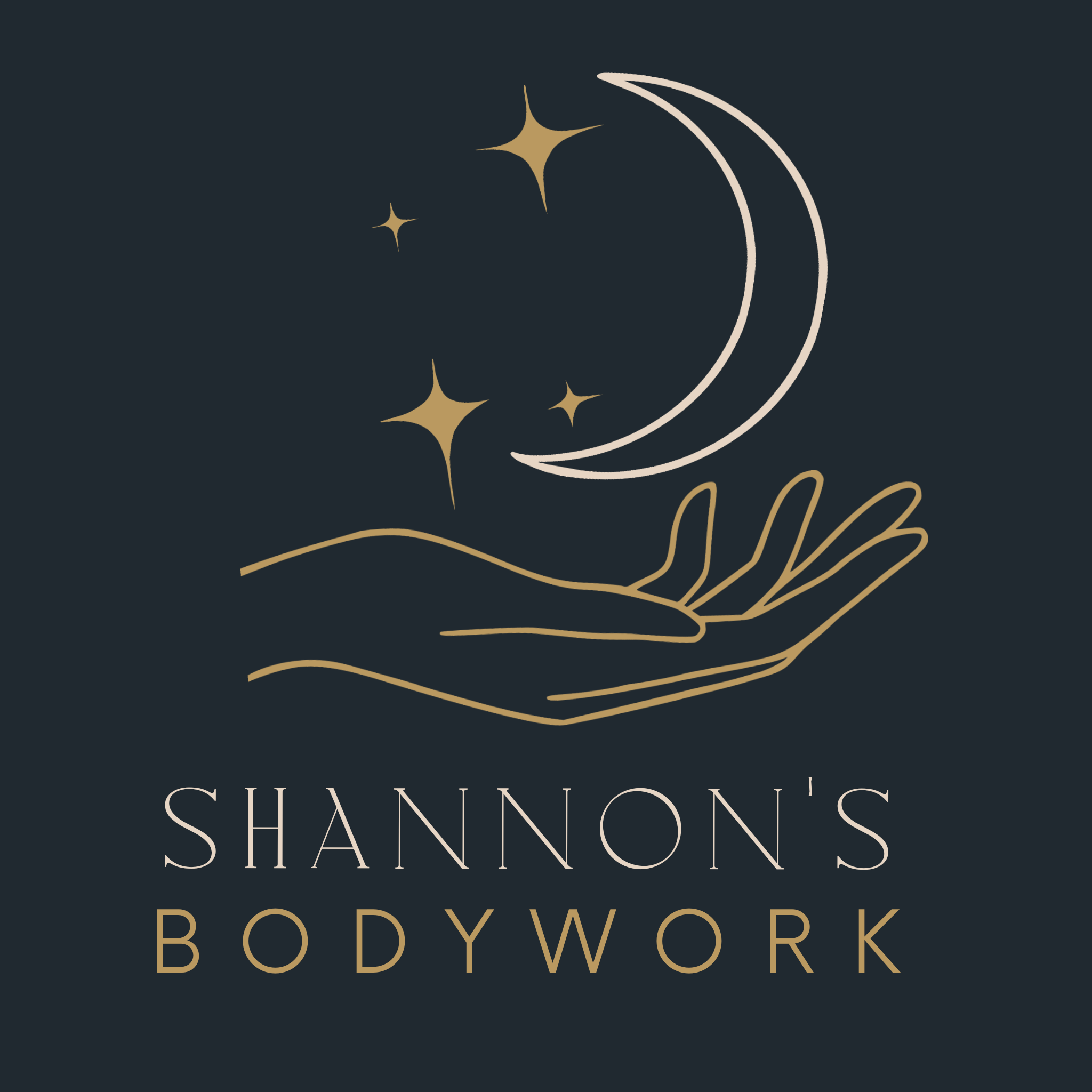Schedule Shannon's Bodywork