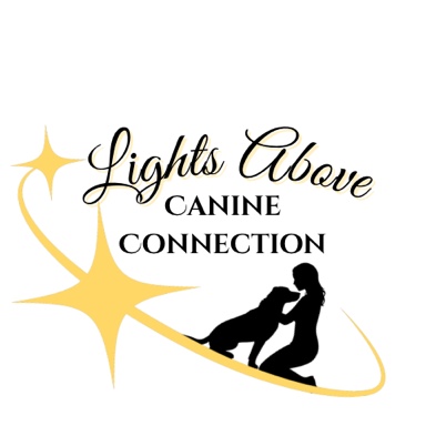 Lights Above Canine Connection