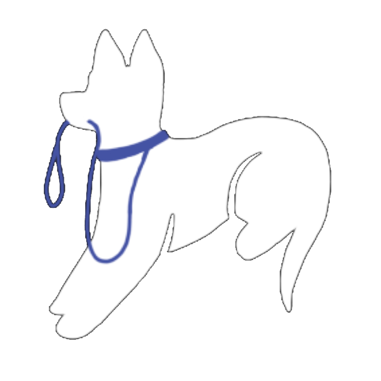 Project Paws Dog Training LLC