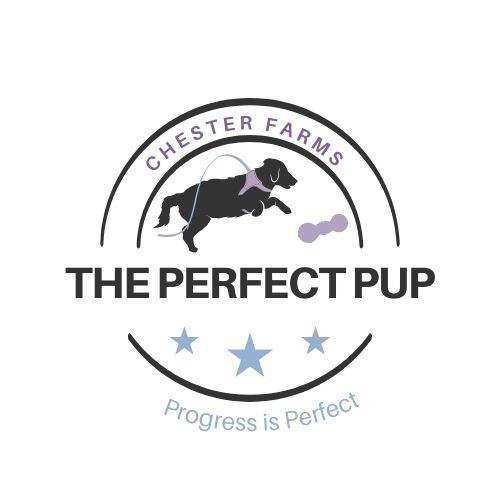 The Perfect Pup