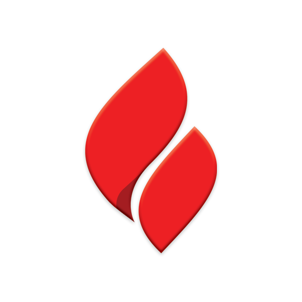 Schedule Defensible Space Systems Inc.