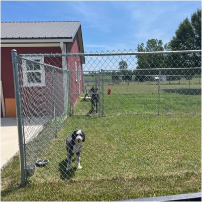 TGB Pet Services, LLC