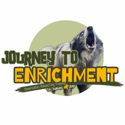 The Journey To Enrichment