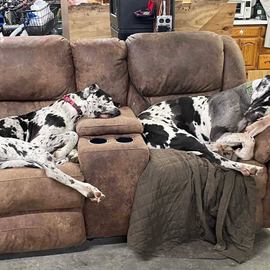 Schedule County Line Kennels