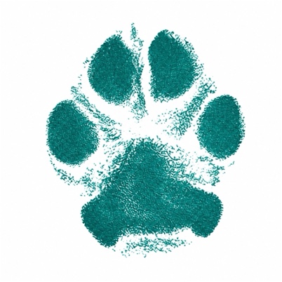 Reign Land K9