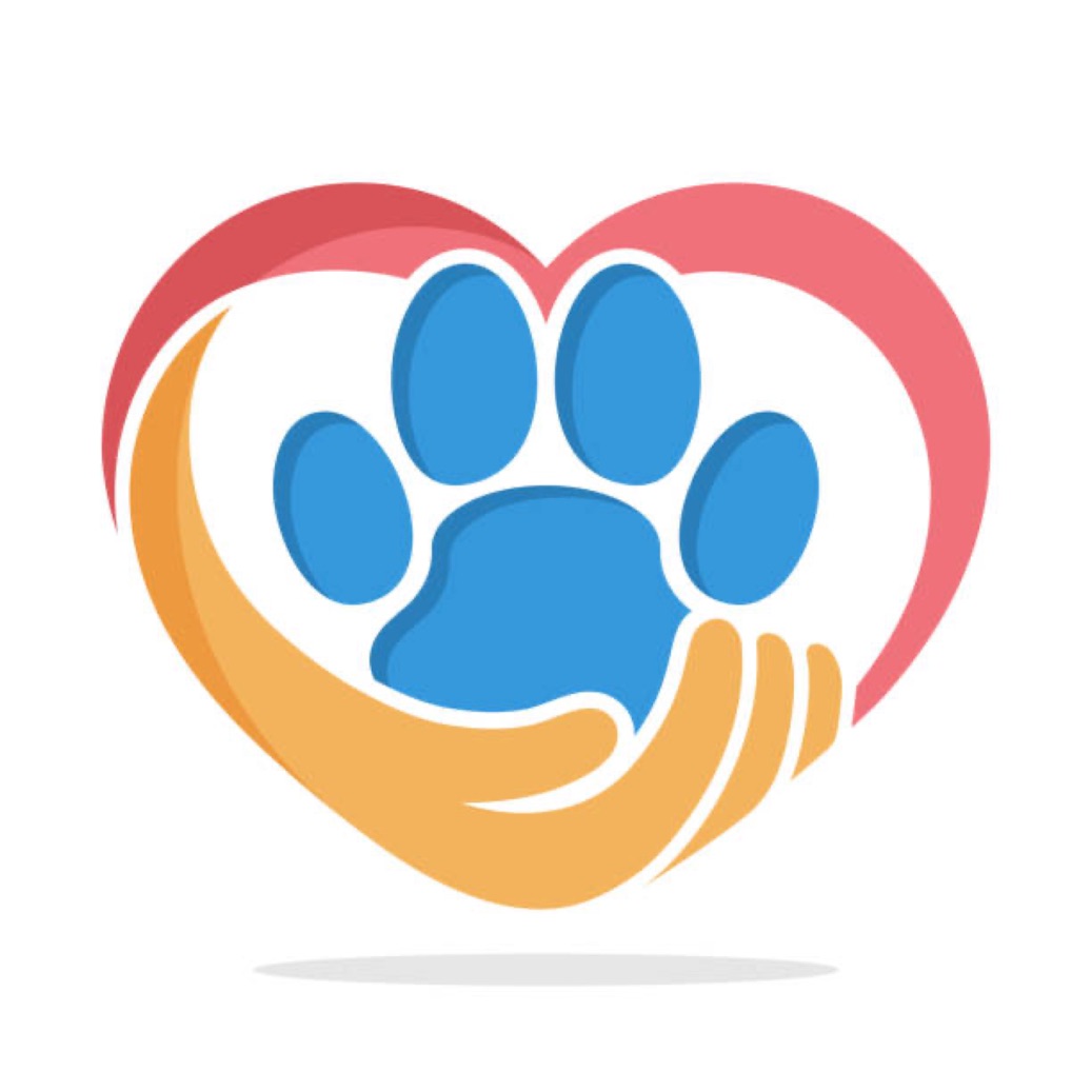 Schedule And Phoenix Dog Training