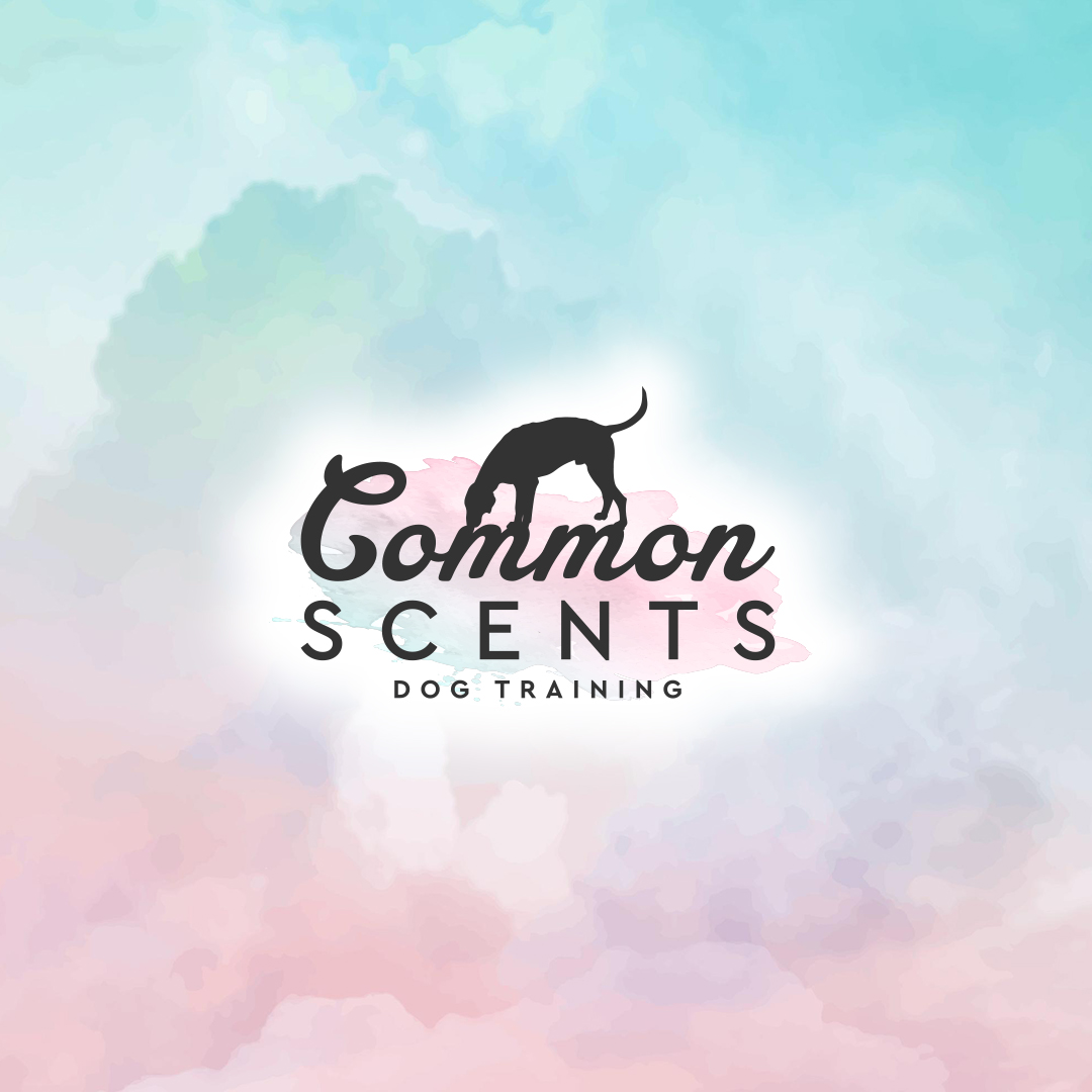 Schedule Common Scents Dog Training