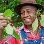 Prostate Gland Issues? Pygeum May Be The Answer