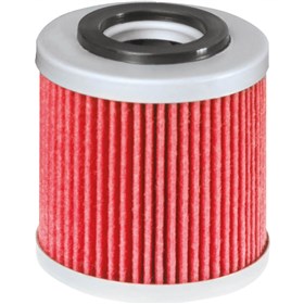 2 Pack Oil Filter FITS CAN-AM RENEGADE 800R EFI X 800 1000 X XC 2009 2011-2014