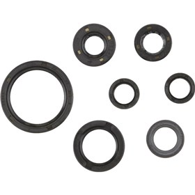 Cometic Oil Seal Kit