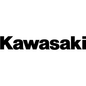 Factory Effex Kawasaki Logo Sticker