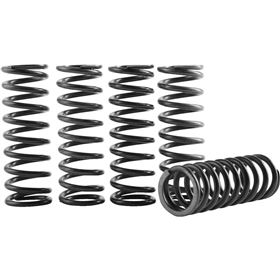 Hinson Racing Hi-Temp Clutch Spring Kit