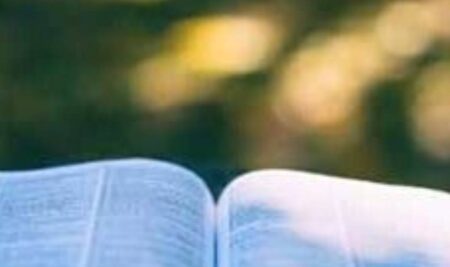 LESSONS FROM THE GREAT SCIENTISTS’ DIARIES