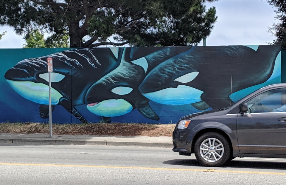 Orcas