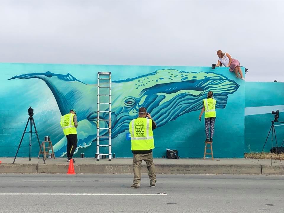 Whale