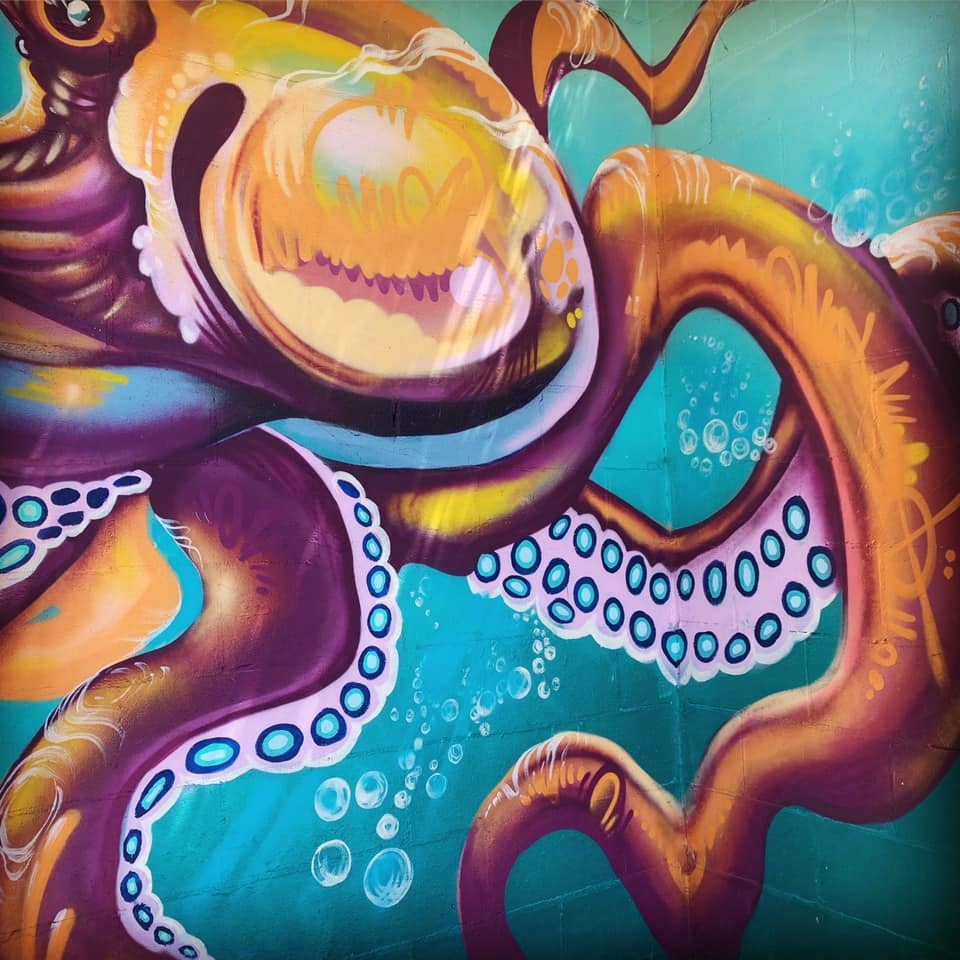 Octopus Closeup