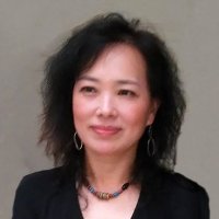 Image of Hong Liu
