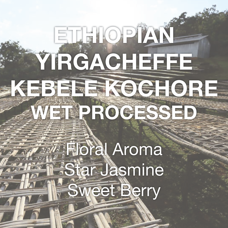 modcup coffee company Ethiopia Kochere