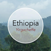 Copper Door Coffee Roasters Ethiopia Yirgacheffe Copper Door Coffee Roasters Ethiopia Yirgacheffe