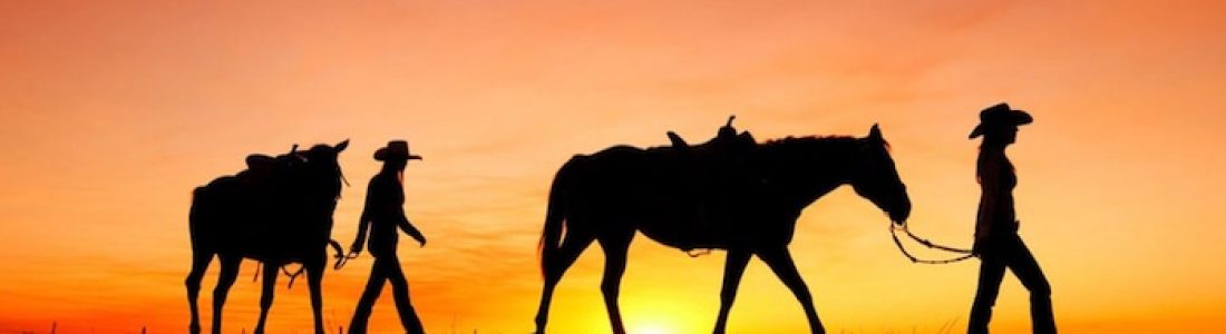 Solid Gold Homes of Winnemucca, Nevada: The Home of Customer Satisfaction and Service