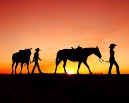 Solid Gold Homes of Winnemucca, Nevada: The Home of Customer Satisfaction and Service