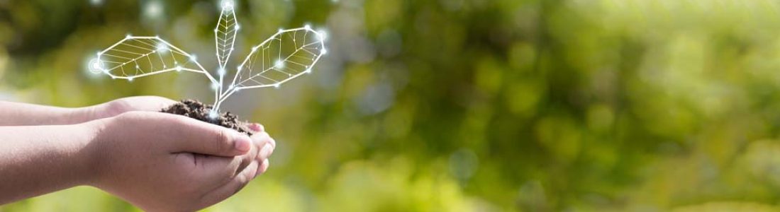 Green Manufactured Homes Offer Better Use of Energy, Materials and Natural Resources
