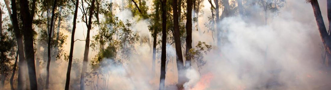 Southern Oregon Fire’s Destruction of 1,748 Mobile Homes Exacerbates Affordable Housing Shortage