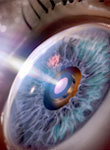 Eye
