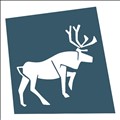 Caribou Digital icon
