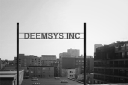 Deemsys icon