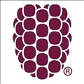 Dewberry icon